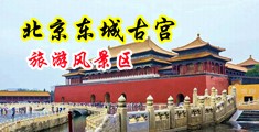 操我好厉害好舒服啊好大远古中国北京-东城古宫旅游风景区
